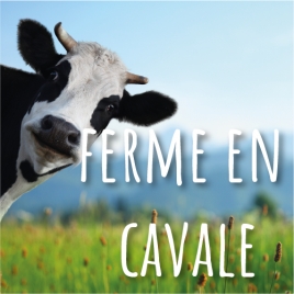 LA FERME EN CAVALE 14 JUIN 2023 VEZIN LE COQUET