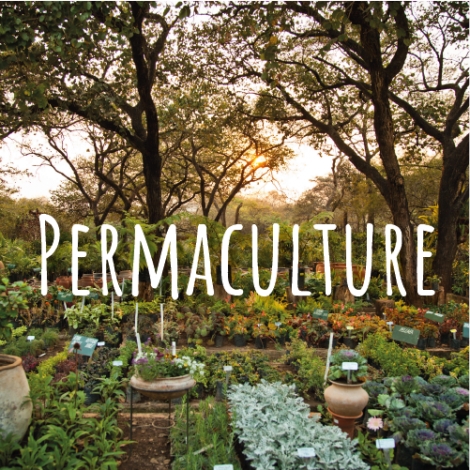 COMACTIV - PERMACULTURE RENNES
