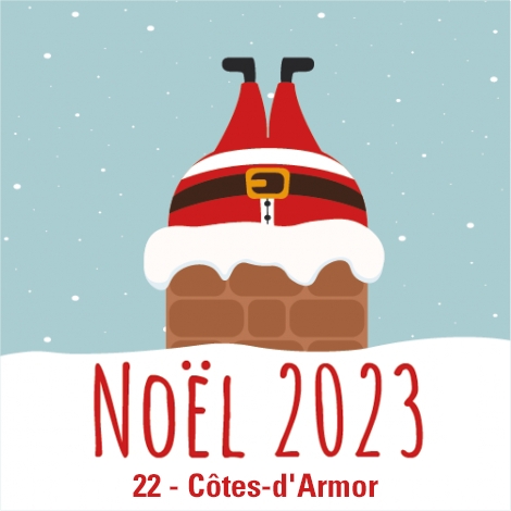 ARBRE DE NOEL 35 - CADEAUX ET ABONNEMENTS