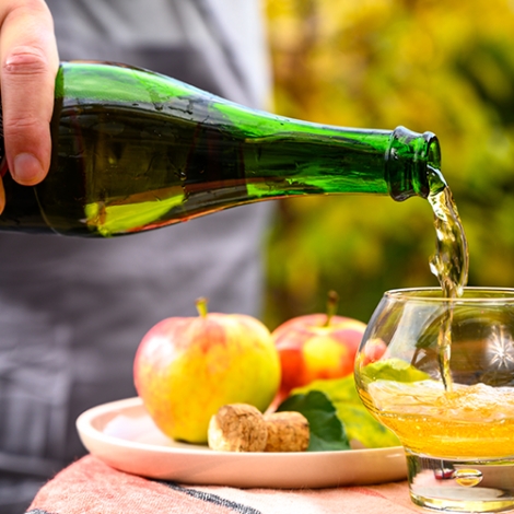 SLVIE ST MALO VISITE MUSEE DU CIDRE DE PLEUDIHEN 13 AVRIL 2024