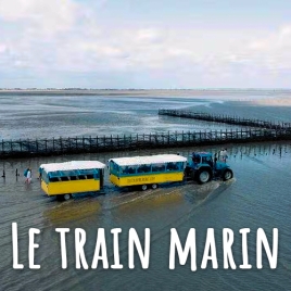 SLVIE RENNES - Train Marin - Samedi 21 juin 2025
