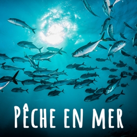 SLVie St-Brieuc - PECHE EN MER - SAMEDI 19 AVRIL 2025