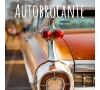 SLVIE RENNES - Autobrocante - Samedi 4 octobre et dimanche 5 octobre 2025