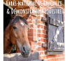 Slvie de ST MALO - VISITE GUIDEE DU HARAS NATIONAL DE LAMBALLE - le samedi 28 mars 2026