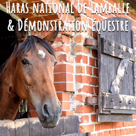 Slvie de ST MALO - VISITE GUIDEE DU HARAS NATIONAL DE LAMBALLE - le samedi 28 mars 2026
