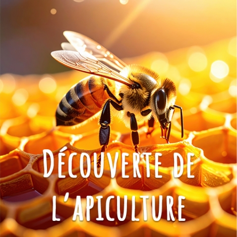 SLVIE ST MALO - DECOUVERTE DE L APICULTURE le samedi 27 juin 2026
