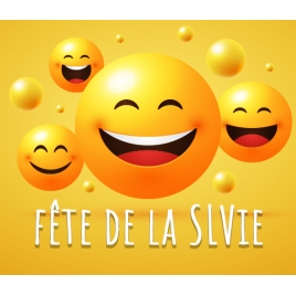 SLVie Dinan - Fête de la SLVie - Dimanche 17 Mai 2026