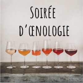 Slvie Fougères/Vitré - Cours d'oenologie