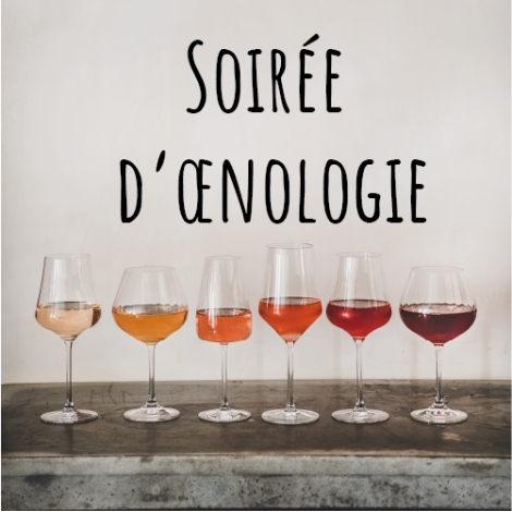 Slvie Fougères/Vitré - Cours d'oenologie